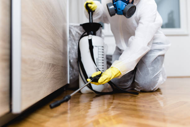 Best Pest Control Near Me  in Buchanan, GA