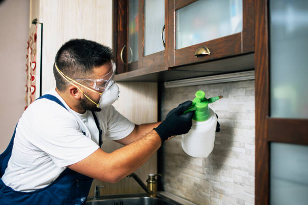 Best Termite Control Services  in Buchanan, GA