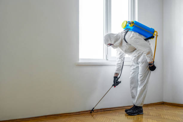 Best Affordable Pest Control Services  in Buchanan, GA