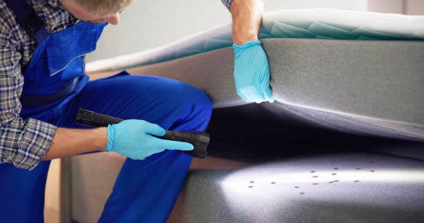 Best Pest Control Near Me in Buchanan, GA